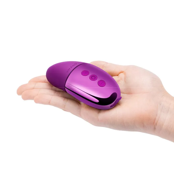 Vibrators Le Wand Le Wand Chrome Point Dark Cherry
