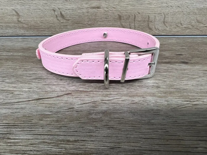 Custom Personalized Vegan Leather BDSM Bondage Slave Collar Slave BDSM Ballisticmetal Restraints