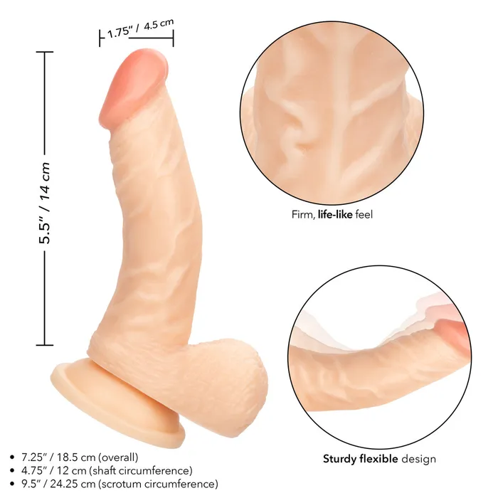 Calexotics Dildos Working Stiff The Doctor