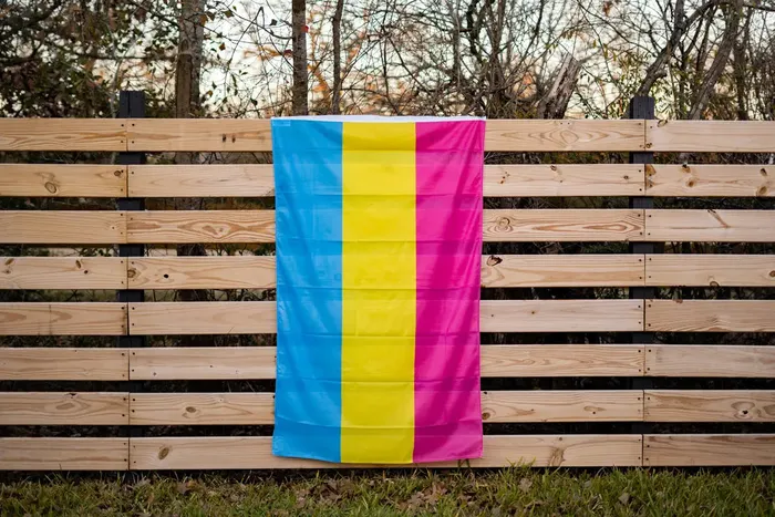 Flags For Good Vibrators Pansexual Pan Pride Flag