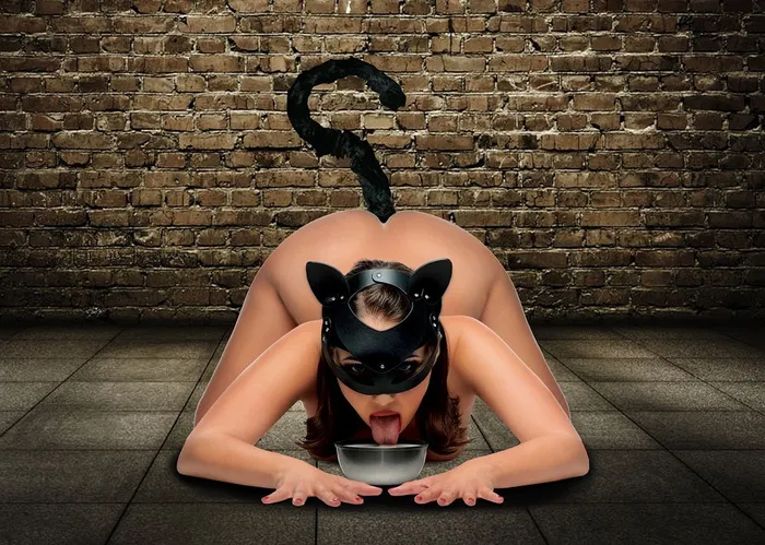 Tailz Anal Cat Tail Anal Plug and Mask Set
