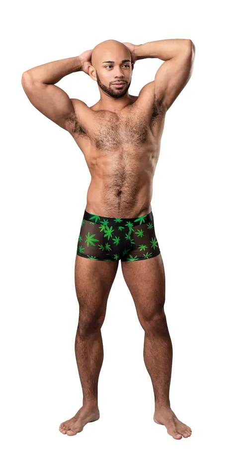 Male Sex Toys Hazy Dayz Pouch Short XLarge Pot Leaf Male Power