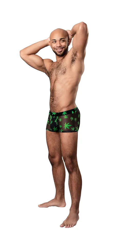 Male Sex Toys Hazy Dayz Pouch Short XLarge Pot Leaf Male Power Male Sex Toys Hazy Dayz Pouch Short XLarge Pot Leaf Male Power