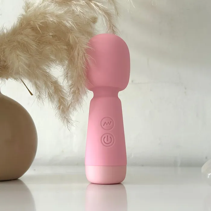 Vibrators Hide The Vibe Petite Wand Vibrator