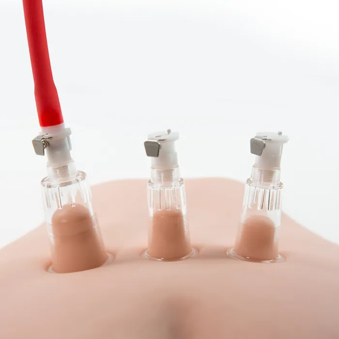Adventure Pleasure System Clitoris and Nipple Suction Toys Blush Novelties Dildos