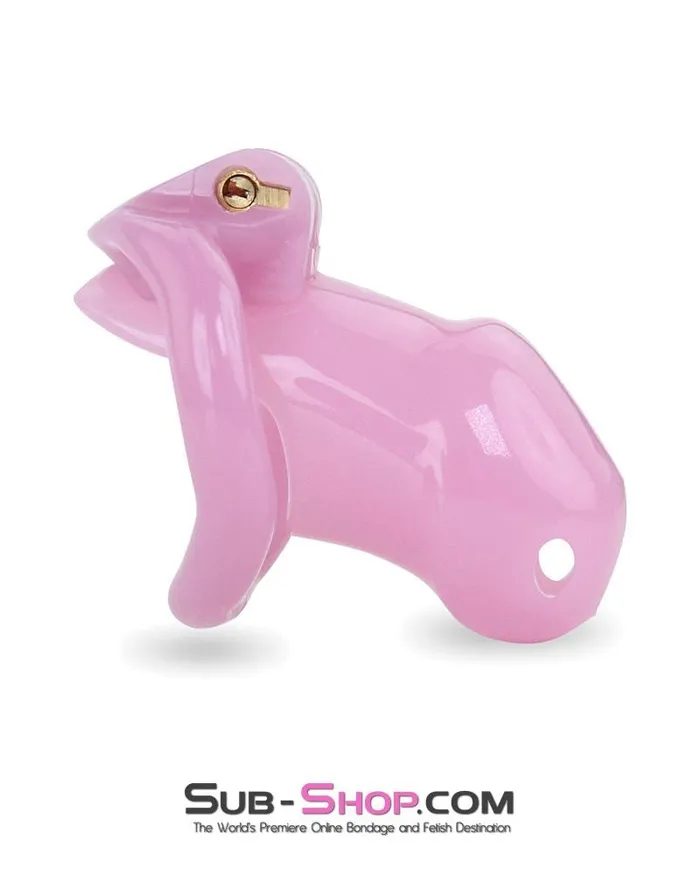 Ali Express Male Sex Toys 3744AE bBOGOb Little Sissy Bitch Short High Security Keyed Tumbler Locking Male Chastity with 4 Base Cock Ring Sizes