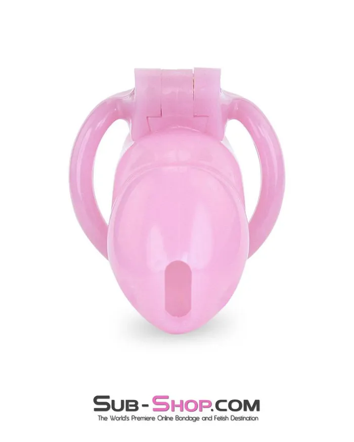 Ali Express Male Sex Toys 3744AE bBOGOb Little Sissy Bitch Short High Security Keyed Tumbler Locking Male Chastity with 4 Base Cock Ring Sizes