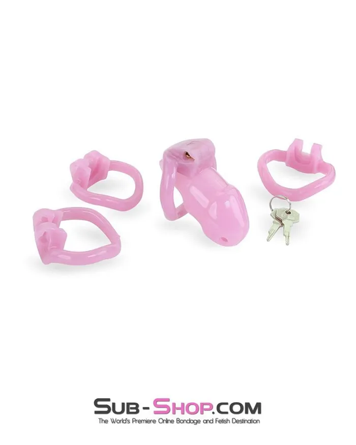 Ali Express Male Sex Toys 3744AE bBOGOb Little Sissy Bitch Short High Security Keyed Tumbler Locking Male Chastity with 4 Base Cock Ring Sizes