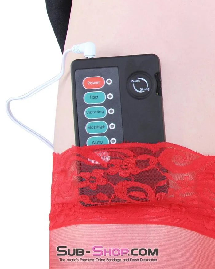 Anal 0842RSSIS Sissy Slave SubShock Black Electro Stim Power Box Raysent