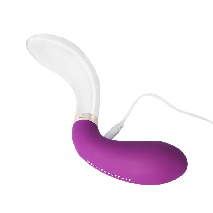 Glassfizioso MySecretCase Vibrators