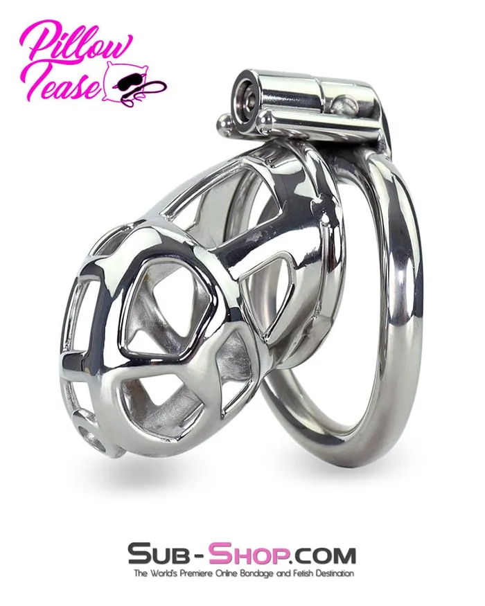 Male Sex Toys Aria 7338AR Steel Teasing Cock Cage Chastity with Hex Screw Lock Male Sex Toys Aria 7338AR Steel Teasing Cock Cage Chastity with Hex Screw Lock