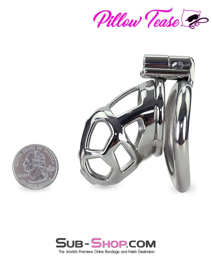 Male Sex Toys Aria 7338AR Steel Teasing Cock Cage Chastity with Hex Screw Lock