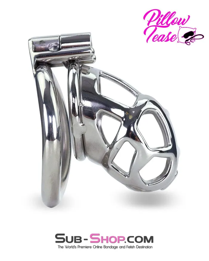 Male Sex Toys Aria 7338AR Steel Teasing Cock Cage Chastity with Hex Screw Lock
