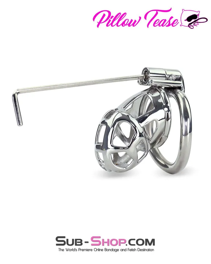 Male Sex Toys Aria 7338AR Steel Teasing Cock Cage Chastity with Hex Screw Lock