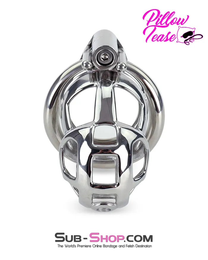 Male Sex Toys Aria 7338AR Steel Teasing Cock Cage Chastity with Hex Screw Lock
