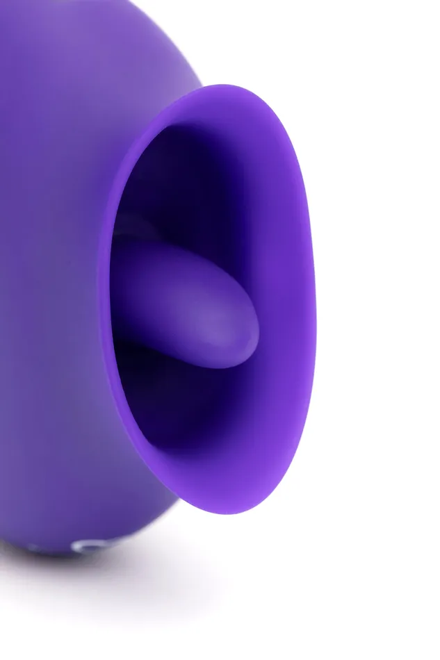 MySecretCase Vibrators Delicatissima