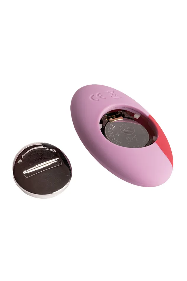 MySecretCase Vibrators Strapazzami