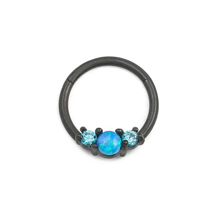 16g 38 PVD Black Opalescent Clicker Ring Price Per 1 Painful Pleasures Anal