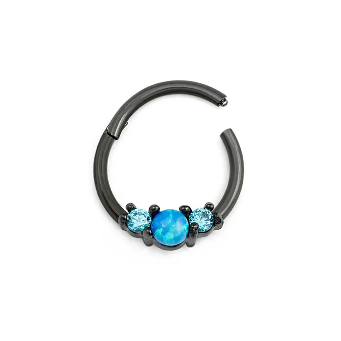 16g 38 PVD Black Opalescent Clicker Ring Price Per 1 Painful Pleasures Anal