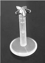 16g 516 Bioplastic Labret with 14kt White Gold 3D Star Painful Pleasures Female Sex Toys 16g 516 Bioplastic Labret with 14kt White Gold 3D Star Painful Pleasures Female Sex Toys