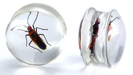 Anal Red Bug or Pyrrhocorid inside an Acrylic Plug for Gauged Ears 16mm 24mm Price Per 1 Painful Pleasures
