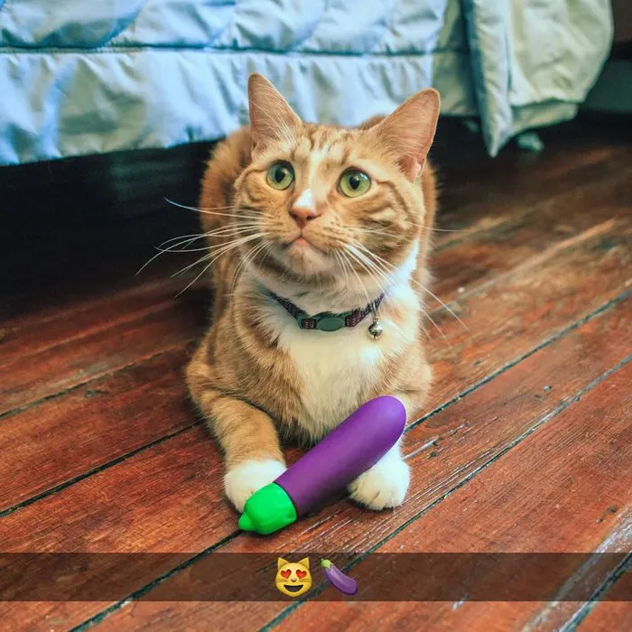 Eggplant Emojibator Ultra Discreet First Time Bullet Vibrator Dame Products Female Sex Toys Eggplant Emojibator Ultra Discreet First Time Bullet Vibrator Dame Products Female Sex Toys