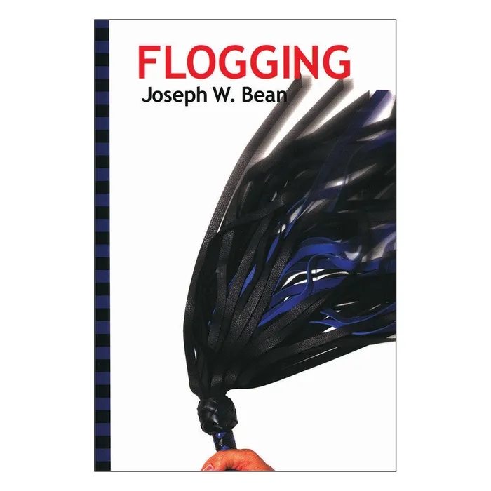 Flogging Book SCB Vibrators