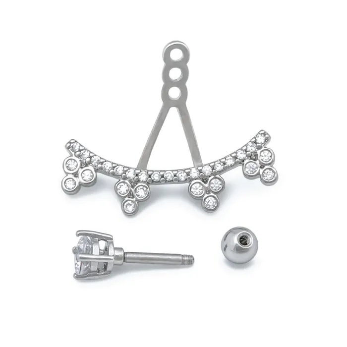 Painful Pleasures Anal 16g 14 Crystal Clusters Rhodium Plated Cartilage Earring