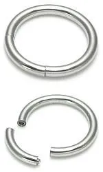 Painful Pleasures Male Sex Toys 12g Stainless Steel Segment Ring