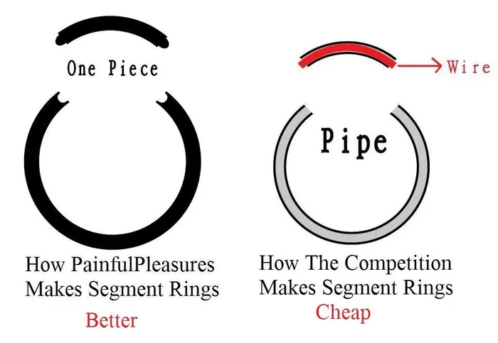 Painful Pleasures Male Sex Toys 12g Stainless Steel Segment Ring