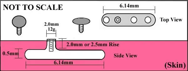 Painful Pleasures Male Sex Toys 12g Steel Dermal Anchor with 2mm or 25mm Rise and 3Hole Base Price Per 1