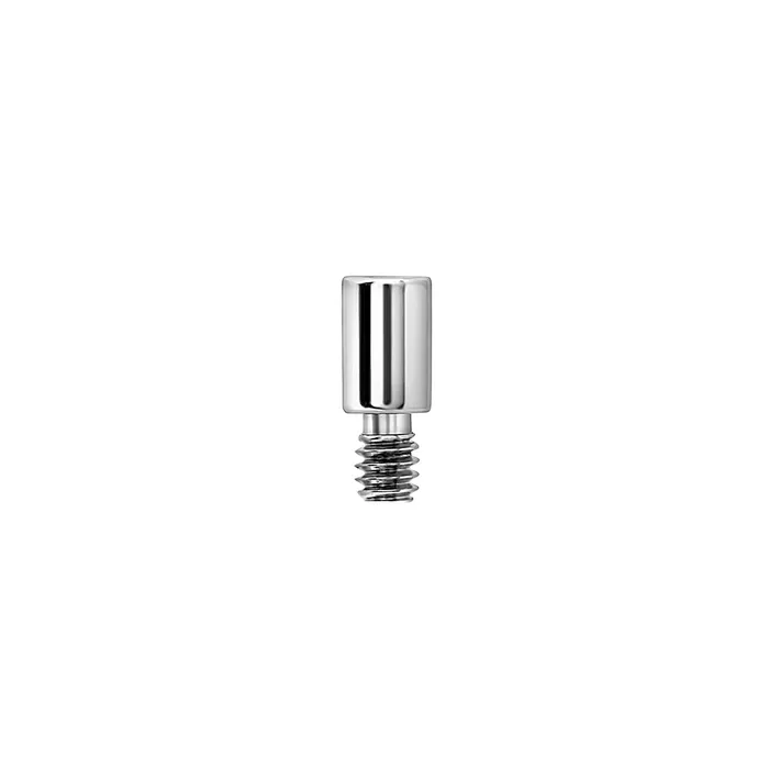 Painful Pleasures Male Sex Toys 14g 12g Internally Threaded Extension Post Price Per 1 Painful Pleasures Male Sex Toys 14g 12g Internally Threaded Extension Post Price Per 1