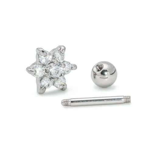 Painful Pleasures Male Sex Toys 16g Stainless Steel Ear Jewelry with SixPetaled Crystal Flower Charm Price Per 1