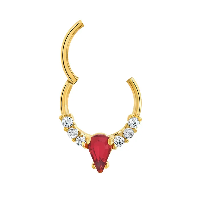 Painful Pleasures Vibrators 16g 38 PVD Rose Gold Teardrop Red Jewel Clicker Ring Price Per 1