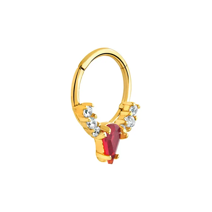 Painful Pleasures Vibrators 16g 38 PVD Rose Gold Teardrop Red Jewel Clicker Ring Price Per 1