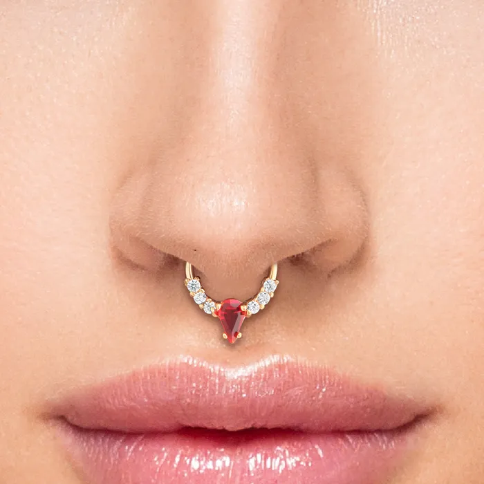 Painful Pleasures Vibrators 16g 38 PVD Rose Gold Teardrop Red Jewel Clicker Ring Price Per 1
