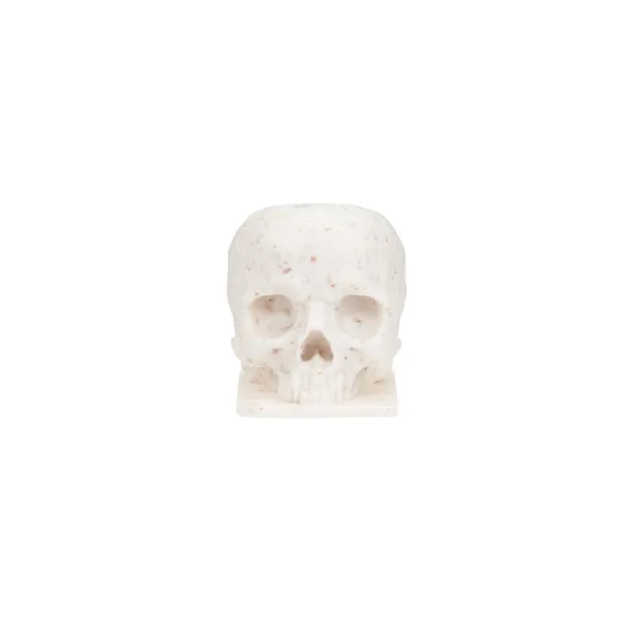 Saferly Male Sex Toys Saferly Skull ECO Ink Caps Size 16 Large Bag of 200