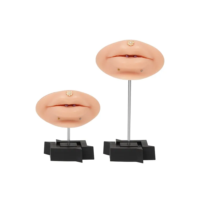 Tilum Acrylic Display Stand for Body Jewelry Choose Color Tilum Anal
