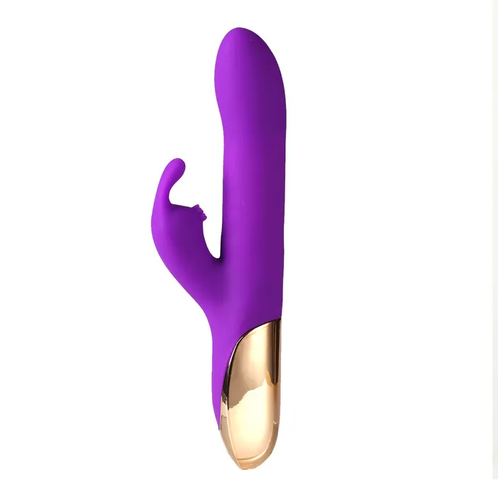 Vibrators Maia Toys Maia Toys Karlin USB Rechargeable 104 Function Rabbit Vibrator PURPLE