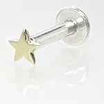 Vibrators Painful Pleasures 14g Internally Threaded 14kt White Gold Flat Star Labret