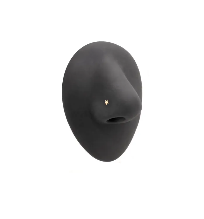 Vibrators Tilum Tilum 20g Yellow Gold Flat Star Nose Bone