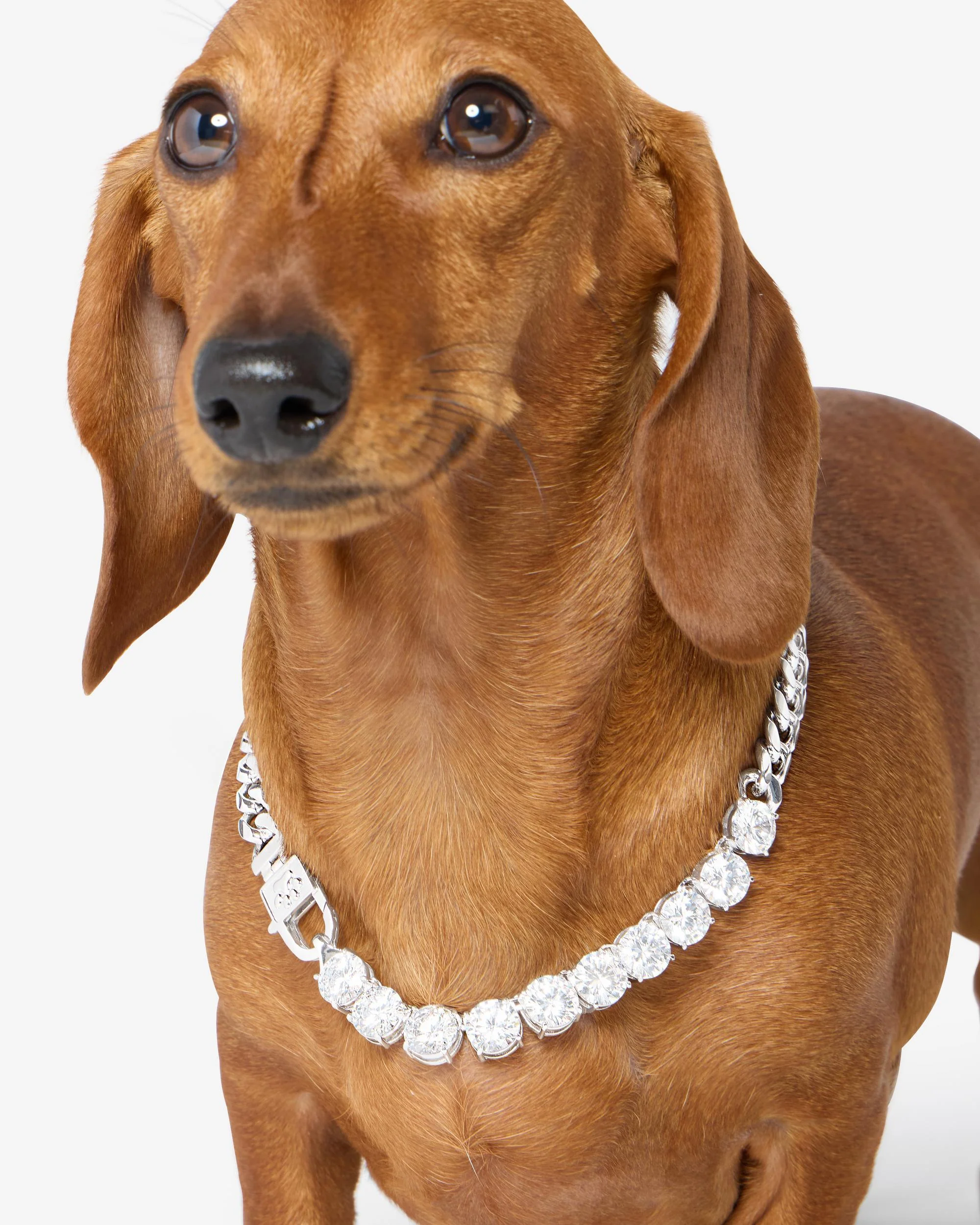 Thor Loves Diamonds Pet Necklace - Silver|White Diamondettes - Image 3